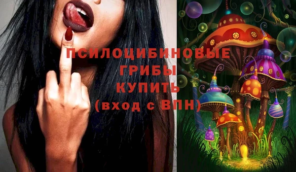 spice Алексин