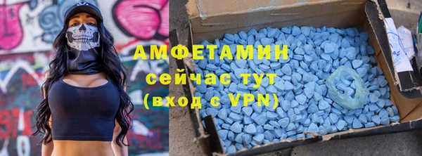 твердый Алзамай