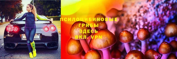 твердый Алзамай