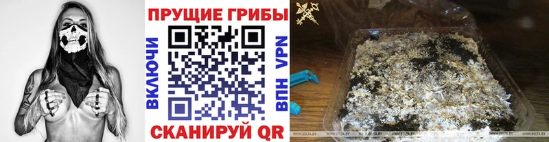 Псилоцибиновые грибы Magic Shrooms  Ивдель 