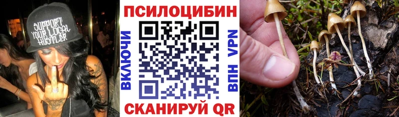 Галлюциногенные грибы MAGIC MUSHROOMS Ивдель
